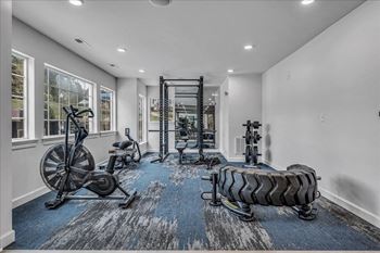 The gym